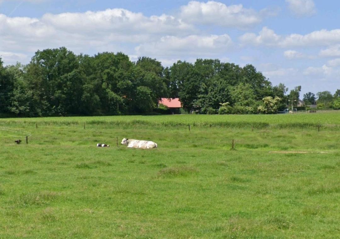 Bed & Breakfast Boekel Luaran gambar